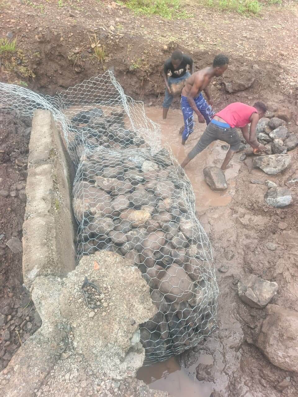 Drainage System
