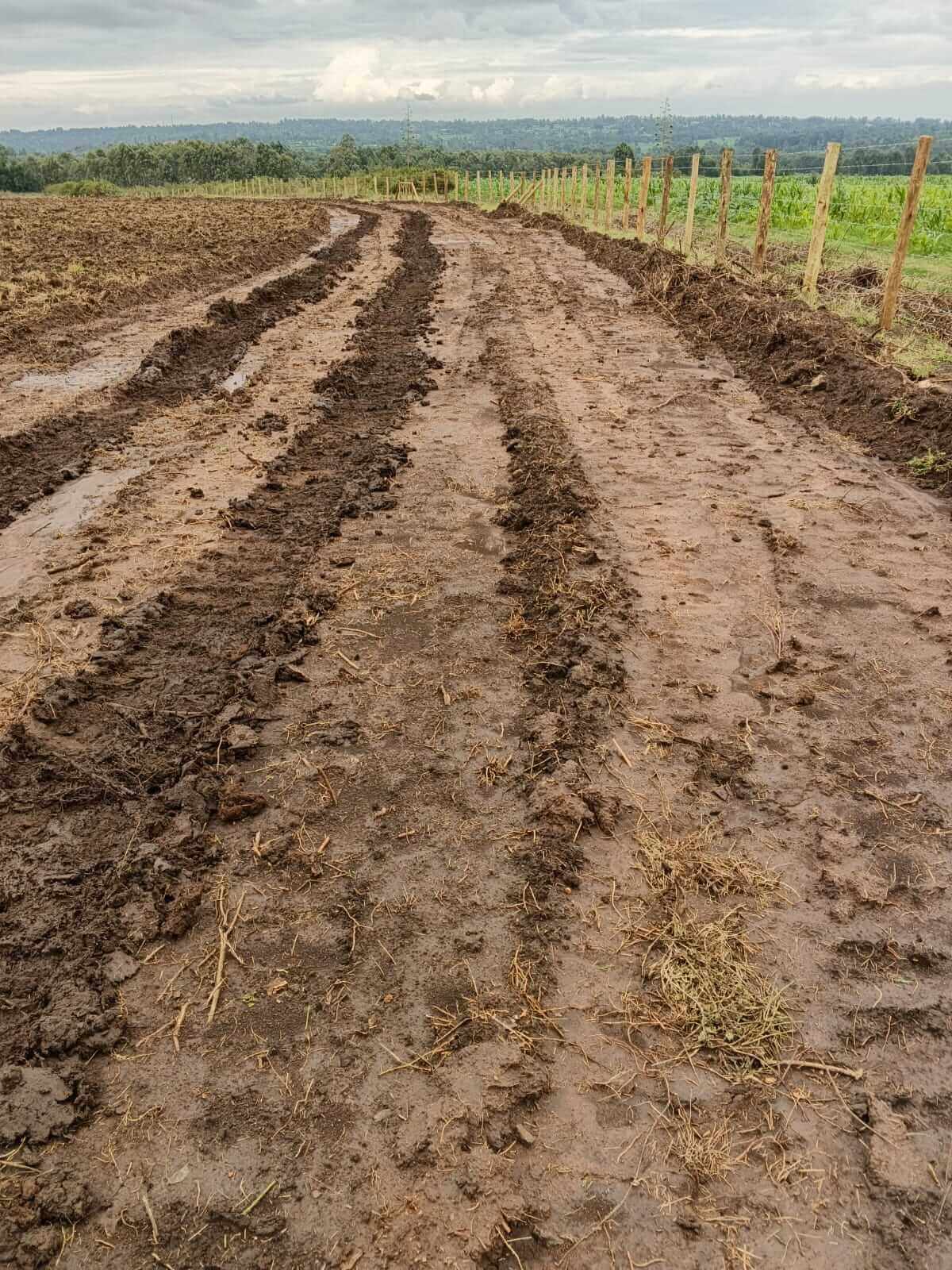 Road Construction